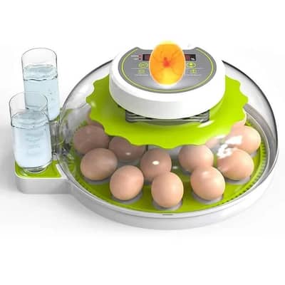60 Parrott eggs and 18 chicken eggs automatic AC-DC incubator