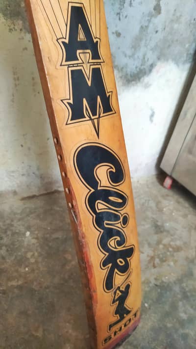 Cricket Bat