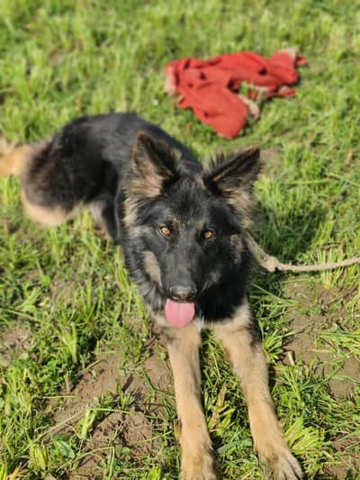 A good bread and ready for seminarion