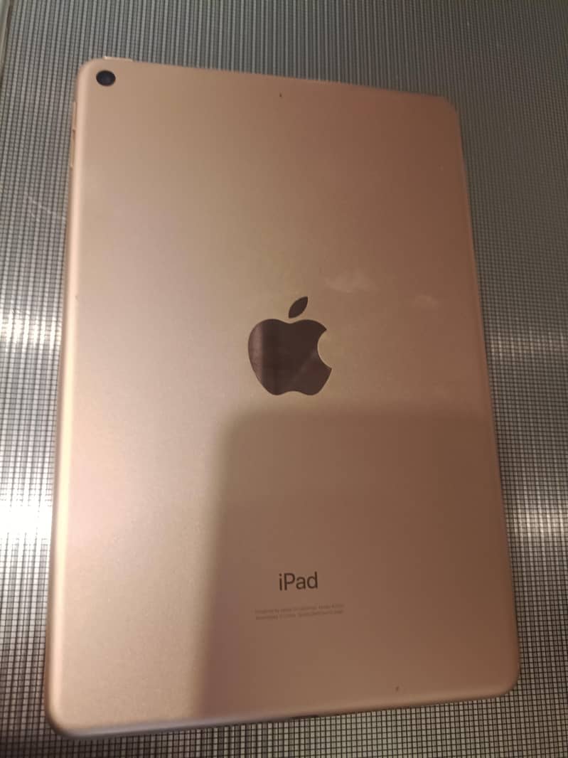 ipad mini 5 0