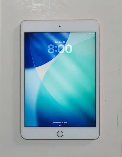 iPad mini 5 64GB RoseGold bypass