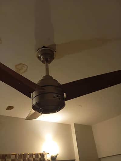 GFC minor use fan