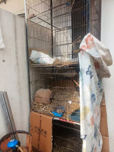 4 blocks big Cage For birds And Hens