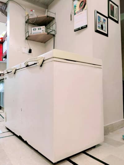 Waves Deep Freezer for Sale – Excellent Condition | Rs 50,000