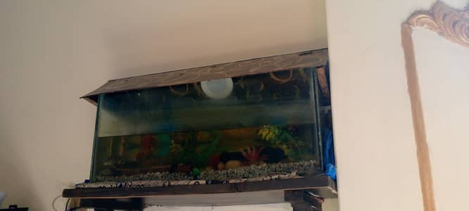 Fish Aquarium for sale