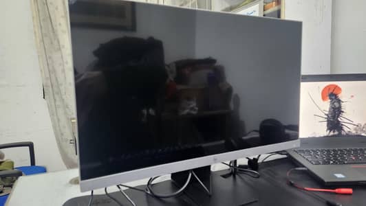HP Monitor