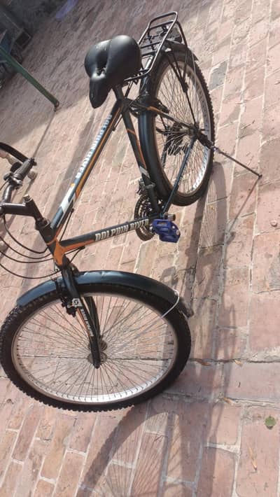 dolfin river sports cycle