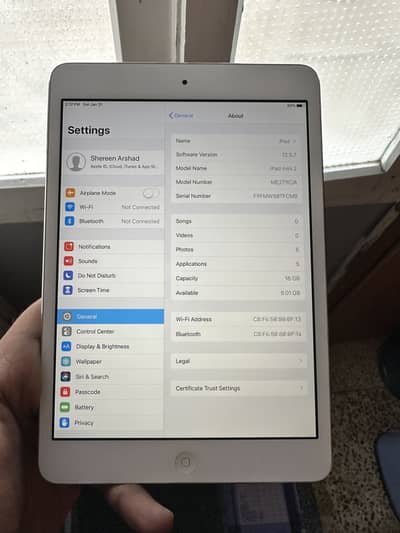iPad mini 2