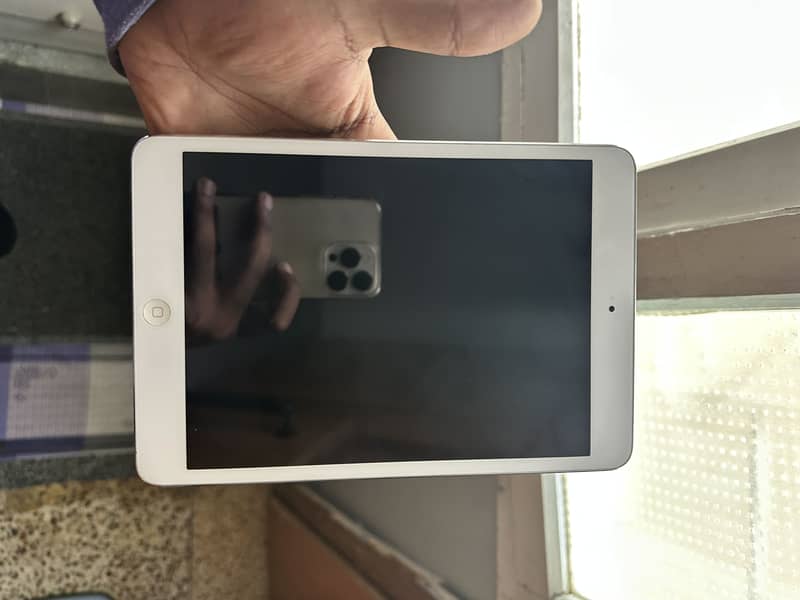 iPad mini 2 1