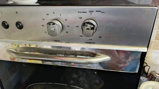 Gas oven