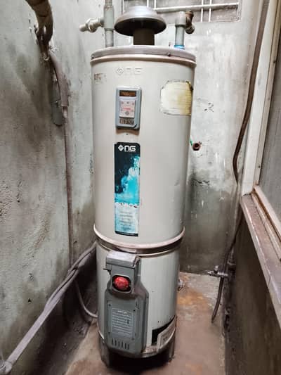 Nasgas Geyser 25 Gallon DG-25-DLX