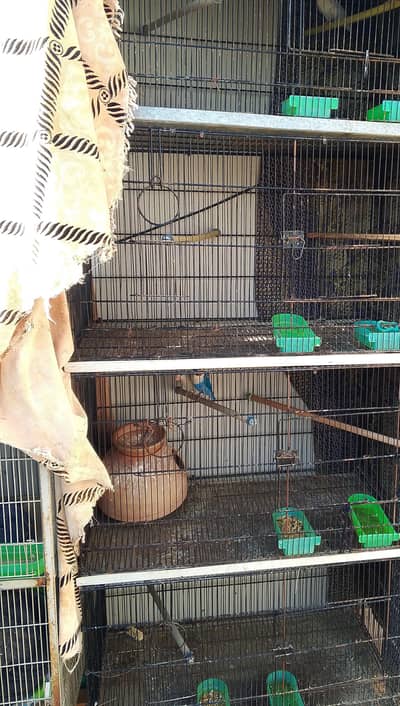 Master cage 4 boxes 1.5 by 2.5 for sale