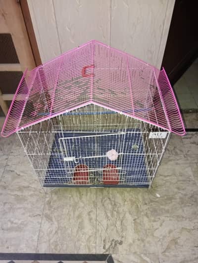 cage parrot