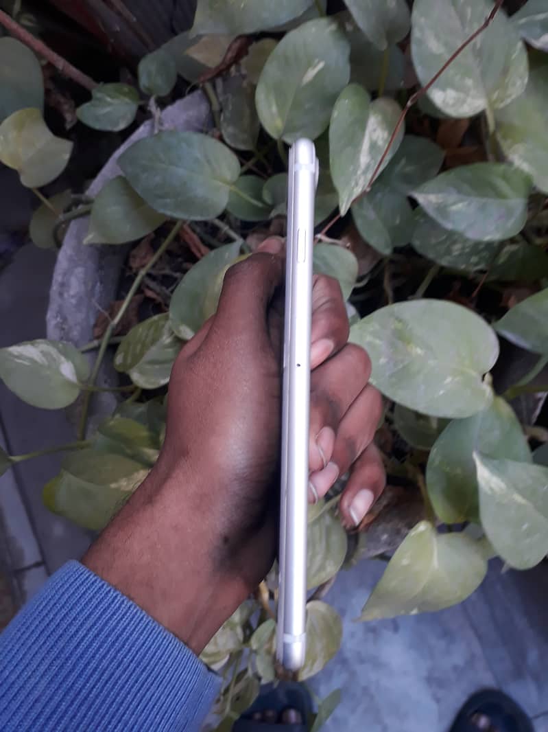 iphone 7 plus pta approved 8