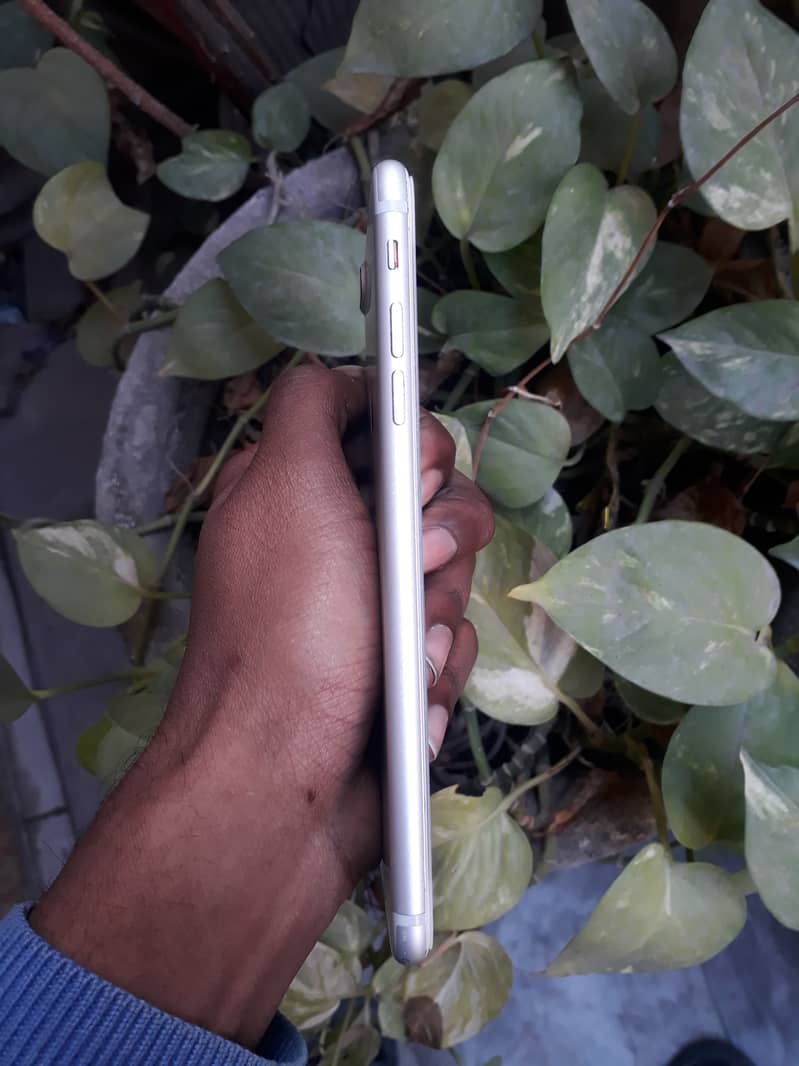 iphone 7 plus pta approved 11