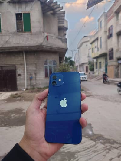 iPhone 12  64 GB