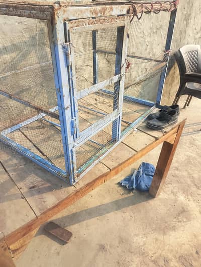 cage for hen patriot etc