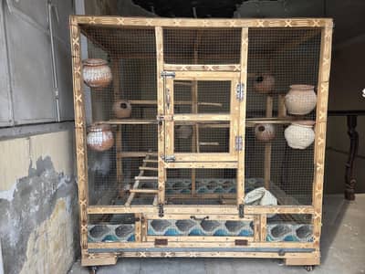 Pinjra, cage, bird house, bird home, bird colony, jaal, jal, parrot,