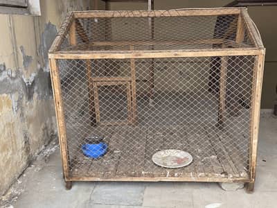 Pinjra, cage, bird house, bird home, bird colony, jaal, jal, parrot,