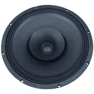 Speaker 10 inch