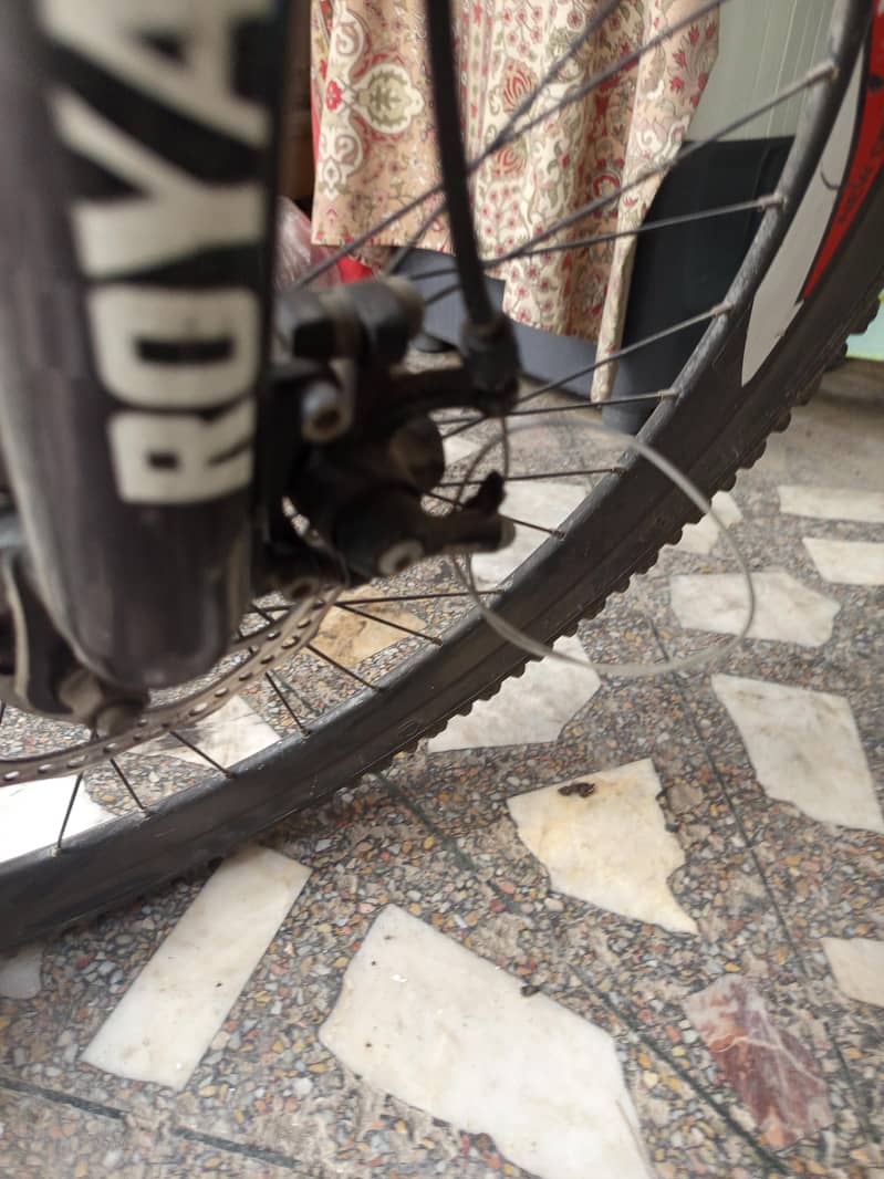 cycle royal 6