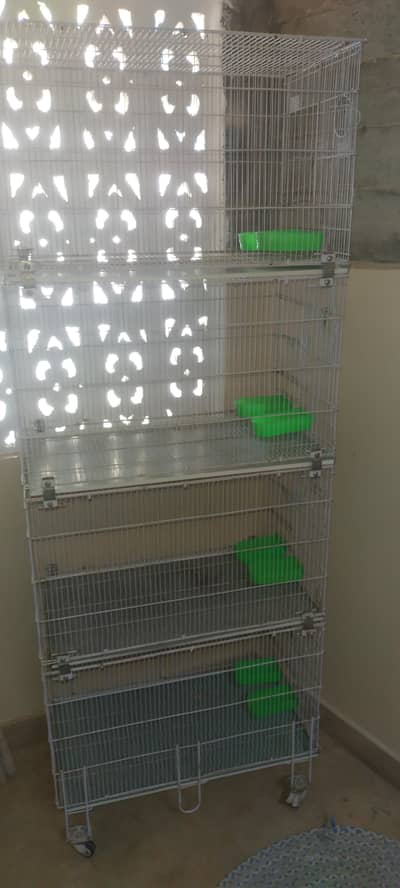 master cage big size complete asaceric