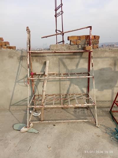 rex for sale per piece 15000