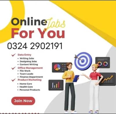 Online Jobs, Assignment Writing, Data Entry, Typing job, Part Time Job