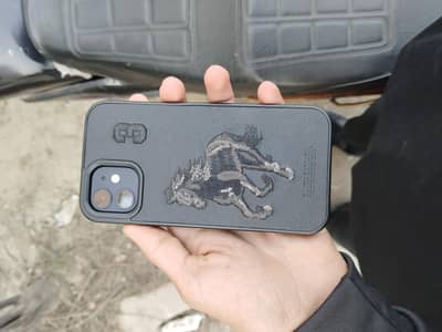 iPhone 12 All ok 64gb water pack