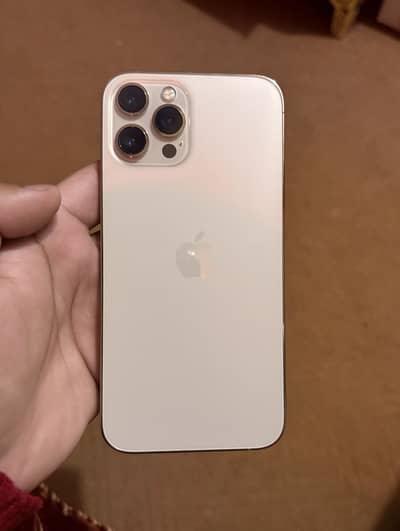 Iphone 12 pro max pta approved