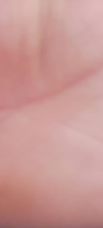 Human testicals are for sale