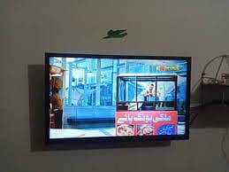 ecostar 32" simple led for sell