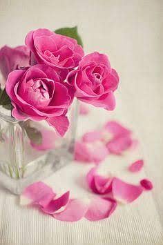 assalam o alikum need female