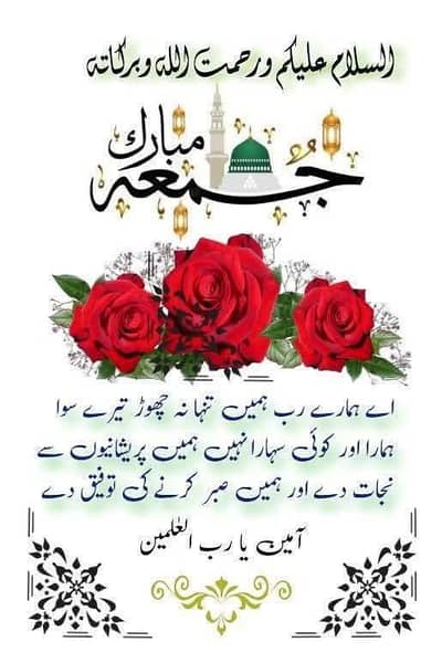 we need female staff for office work