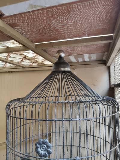 Big cage for sell