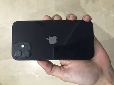 Iphone 11 water pack 100%