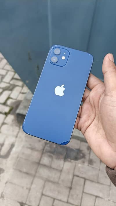 iphone 12 pta approve