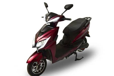 Etrox Zippy Scooty