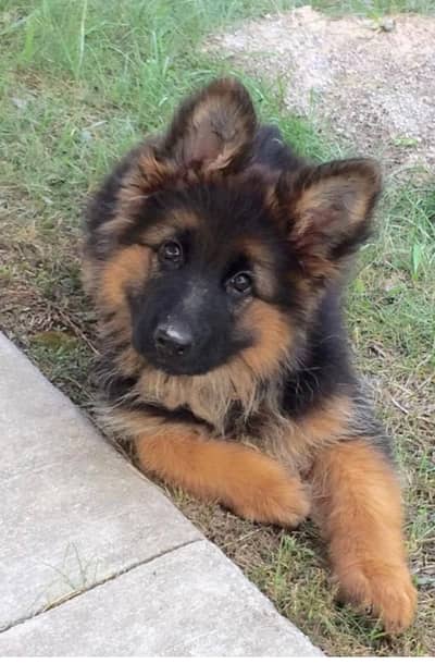 active and play full