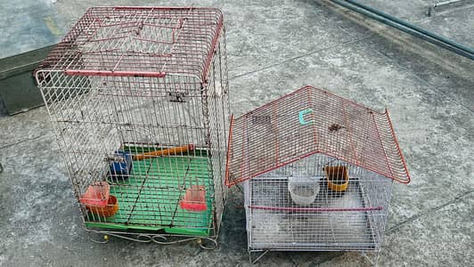 Bird Cages
