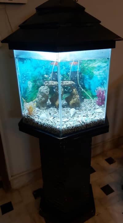 HEXAGON SHAPE FISH AQUARIUM FOR SELL LIKE BRAND NEW