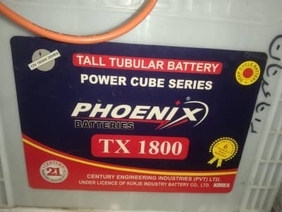 Phoenix Tall tubular battery 180A . Made in korea
