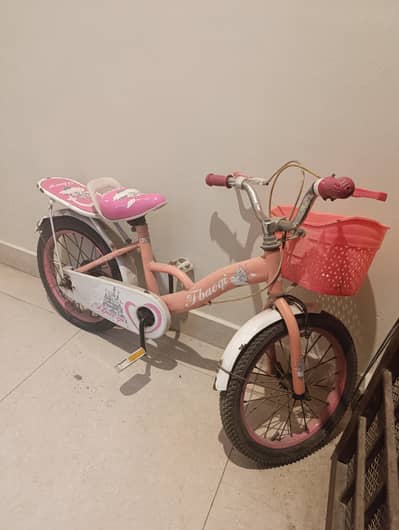pink cycle