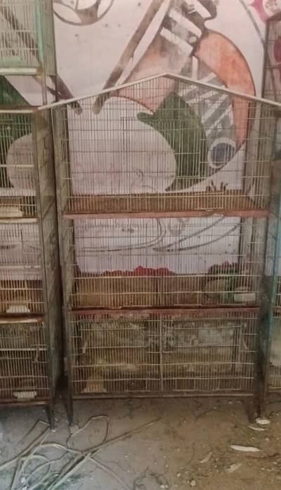 Large Metal Bird Cage (Good Condition)”