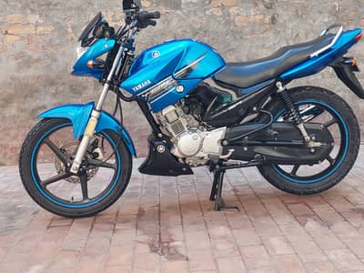 only Real person contact