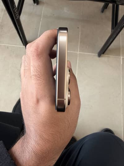 16 PRO MAX 256 Non PTA