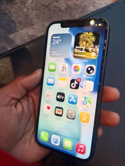 i phone 12 jv waterpack