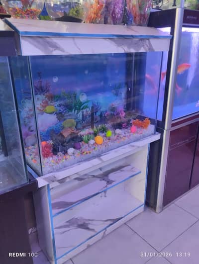 Fish & fish aquarium 03348278130