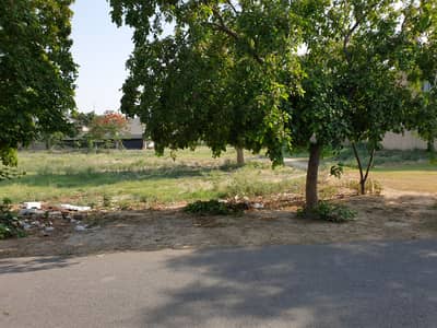 Prime Residential Plot For Sale DHA Phase 7, T Block
