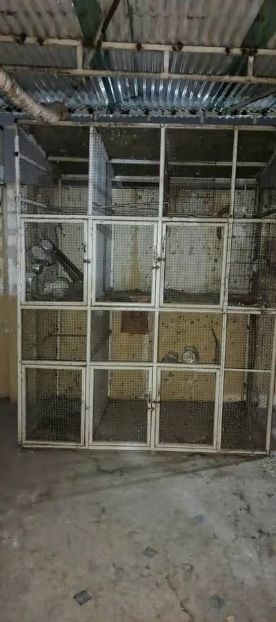 parrot cage